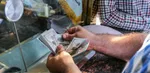 توقف پیش فروش سکه یک‌ماهه