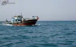 بررسی طرح‌های اقدام متقابل نسبت به مصوبه پارلمان اروپا در کمیسیون امنیت ملی