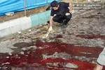 جشنواره حساب‌های قرض الحسنه بانک ملت جذاب‌تر شد/ اعطای تسهیلات به سپرده گذاران با شرایط ویژه