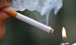 تجارت مرگ با اسانس میوه و شراب؛ شگردهای جدید فروش سیگار به جوانان