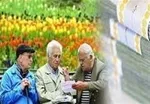 خبر نوبخت درباره ثبت‌نام از یارانه‌بگیران جدید