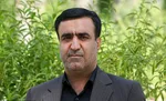 مازوت سوزی در تهران نداریم