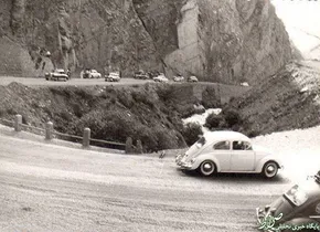 تصاویر/ فرار شترمرغ از آتش‎
