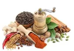 ۱۷ توصیه‌ طب ایرانی برای فصل بهار