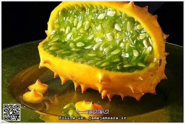 African cucumber خیار آفریقایی
زادگاه اصلی این میوه صحرای کالاهاری در آفریقاست. این میوه دارای دو نوع سمی و غیرسمی است. نوع سمی‌ این میوه دارای پوستی به رنگ سبز است ولی نوع خوراکی آن پوستی به رنگ زرد دارد. طعم آن شبیه انار ولی از حیث داشتن دانه‌های بسیار، مثل خیار است.