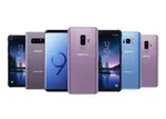 گوجه فرنگی ارزان می‌شود