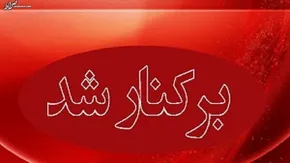 تصاویر / رقص کلاغ‌های سیاه در آسمان