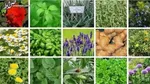 بهترین مکمل‌ها برای زنان بالای ۴۰ سال