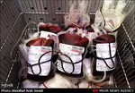 رشد ۳ درصدی اهدای خون در بهار امسال