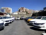 قیمت مرغ ١۵ هزار تومان کاهش یافت