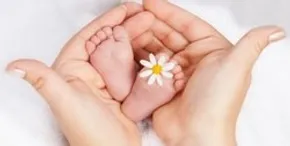 فیلم | ماجرای گم شدن جنین‌ها در بیمارستان آبان تهران چیست؟