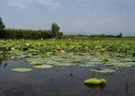 هشدار قوه قضائیه با هکرها