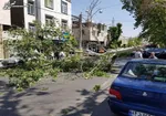 هواشناسی ایران ۱۴۰۲/۰۲/۱۳؛ هشدار ناپایداری‌های جوی در ۱۰ استان