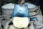 توزیع ۱۰۰ هزار تن برنج وارداتی در سراسر کشور