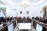 تصاویر | محمدرضا عارف در جلسه شورای عالی سینما