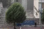 هشدار | ناپایداری جوی در سواحل شمالی و جنوبی ایران