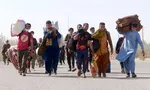 شرط بازگشت اتباع اخراج شده از ایران اعلام شد