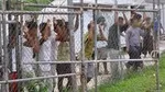 فروش گوسفند و طلب ۱۰۰ هزار دلاری منجر به قتل شد