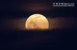 ماه برای همه، همه برای ماه