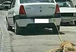 ۱۴ کشته و زخمی براثر واژگونی اتوبوس در اصفهان