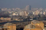 آتش‌بازیِ سال نو، جان صد‌ها پرنده در رم را گرفت+ عکس