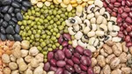 نوسان قیمت کالا‌های اساسی در یک ماه گذشته / حبوبات چراغ خاموش گران شد + جدول