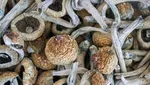 تصویرِ تلخ کودک‌آزاری در اینستاگرام پربازدید شد!