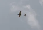 مجتهد: بن‌سلمان احمق است