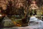 حیاتی‌ترین تاثیرات جنگل‌ها بر زندگی انسان