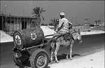 پشت پرده ماجرای ۱۰۰هزار یورو ارز ورودی همراه مسافر در گمرگ لارستان