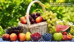 اگر نوشابه‌ رژیمی می‌خورید، این مطلب را بخوانید