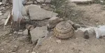 کشف یک قبضه نارنجک در دانشگاه رازی کرمانشاه