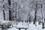 آغاز رگبار و کاهش دما در ۹ استان