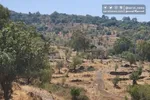 آیا پیمان سایکس-پیکوی دیگری در راه است؟ | مخاطره ای قریب الوقوع به نام «تجزیه خاورمیانه»!