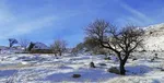 بارندگی در آسمان جنوب کشور / سامانه بارشی جدید یکشنبه وارد کشور می‌شود