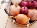 صفر تا ١٠٠ افزایش قیمت پیاز و نظارتی که باید اعمال شود