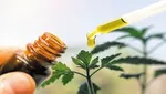 فناوری ساخته شده از فسفر سیاه چیست و چه کاربرد‌هایی دارد؟