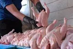 فروش مرغ بیش از ۸۲۰۰ تومان تخلف است