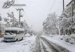 نقش ۵۰ درصدی اتوبوس‌ها در تولید ذرات ۲.۵ ppm