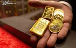 جزییات پرداخت ارز دانشجویی؛ شهریه ۱۳ هزار دلار و اسکان ۱۵۰۰ یورو