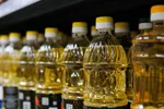 روغن‌های پخت‌وپز خطر ابتلا به سرطان را افزایش می‌دهند؟