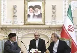 لاریجانی: رهبر انقلاب برای توسعه روستا‌ها کمک کردند