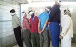 تازه داماد ۱۸ ساله بعد از عقد فهمید که همسرش مطلقه است!