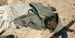 کشته شدن ۲۳ غیرنظامی در پی حمله هوایی آمریکا در افغانستان