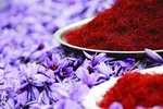 قیمت روز گوشی موبایل در ۲۸ بهمن