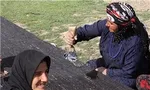 خبر سازمان مالیاتی درباره صدور صورت‌حساب فروش ارز