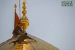 حداقل هزینه سفر به عتبات عالیات چقدر است؟