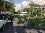 هشدار هواشناسی؛ تشدید رگبار بارش‌های بهاری در ۲۰ استان تا چهارشنبه