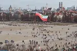 عکس/سیرک پرندگان