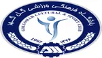 دیدار فولاد - العین در عربستان برگزار می‌شود